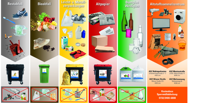 Infografik zur richtigen Trennung von Abfall.