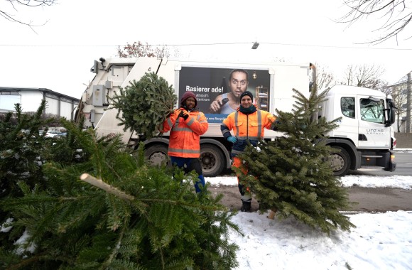 Christbaumentsorgung von LINZ AG ABFALL